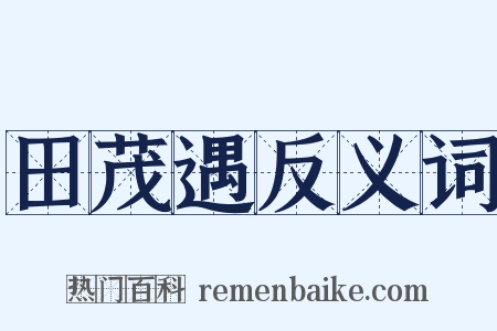 田茂遇反义词是什么意思的图片